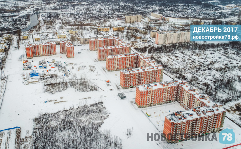 Новое Колпино фото 7