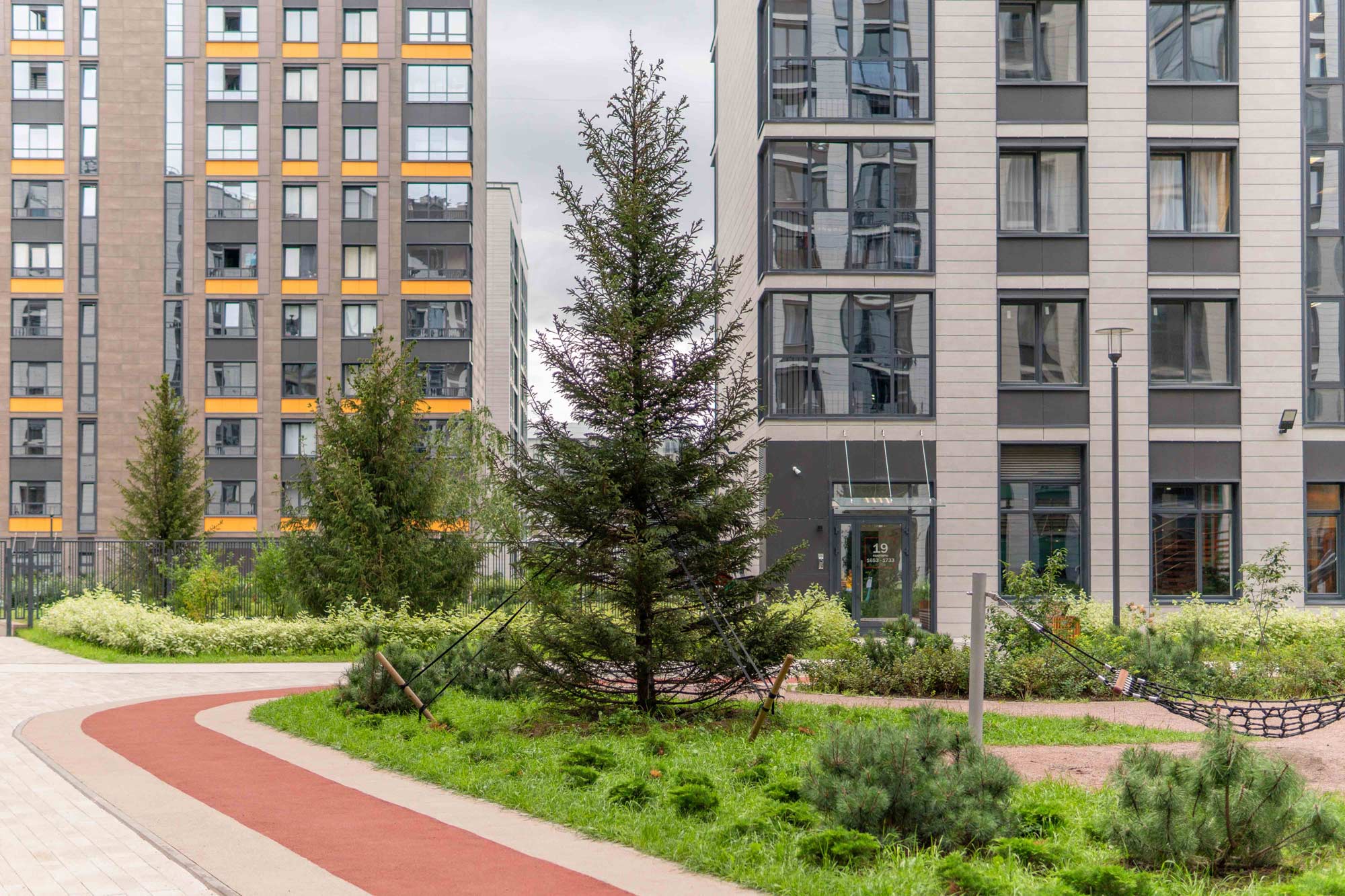 Панорама парк Сосновка фото 7