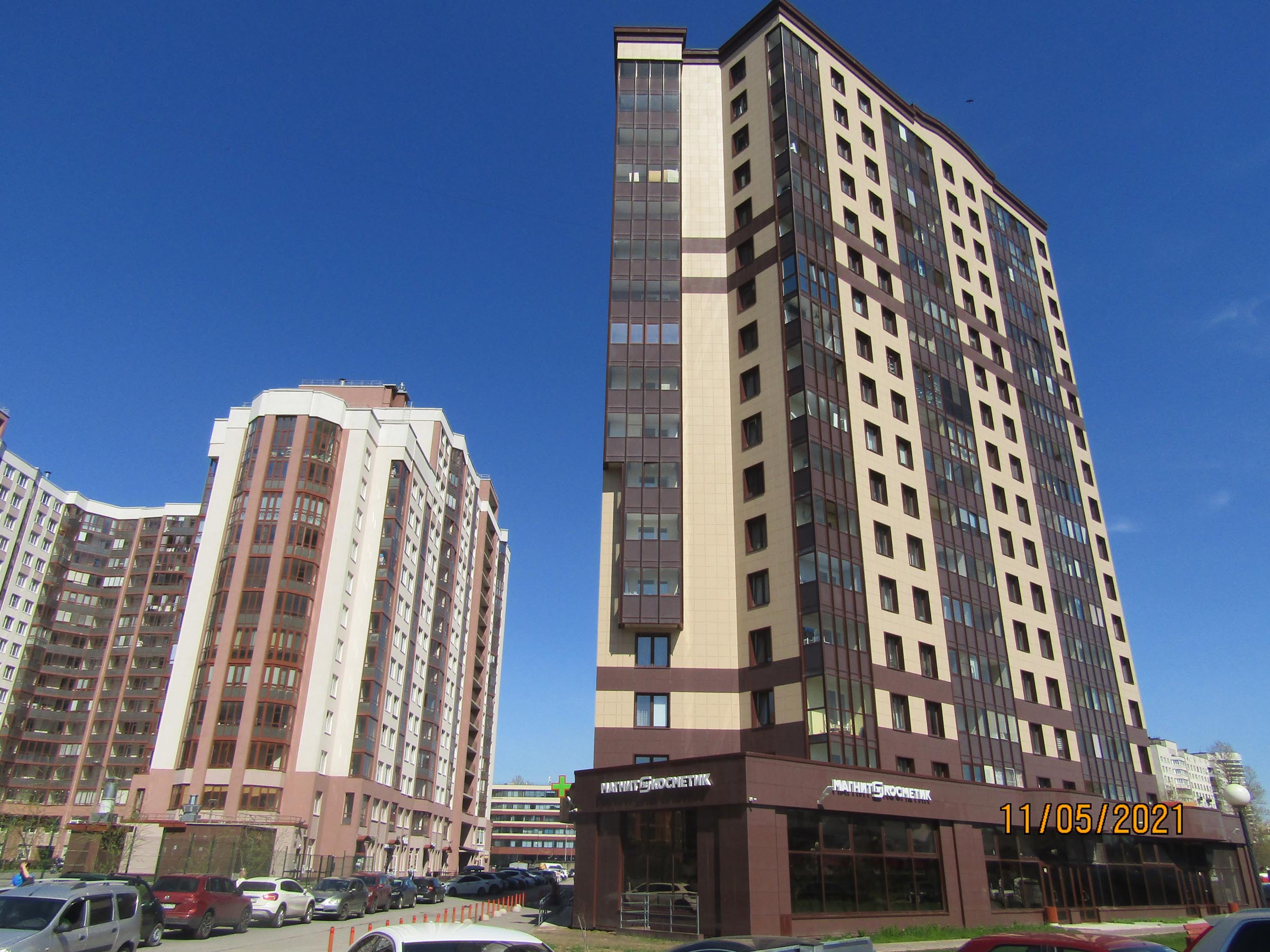 Цвет Зеленогорска фото 7