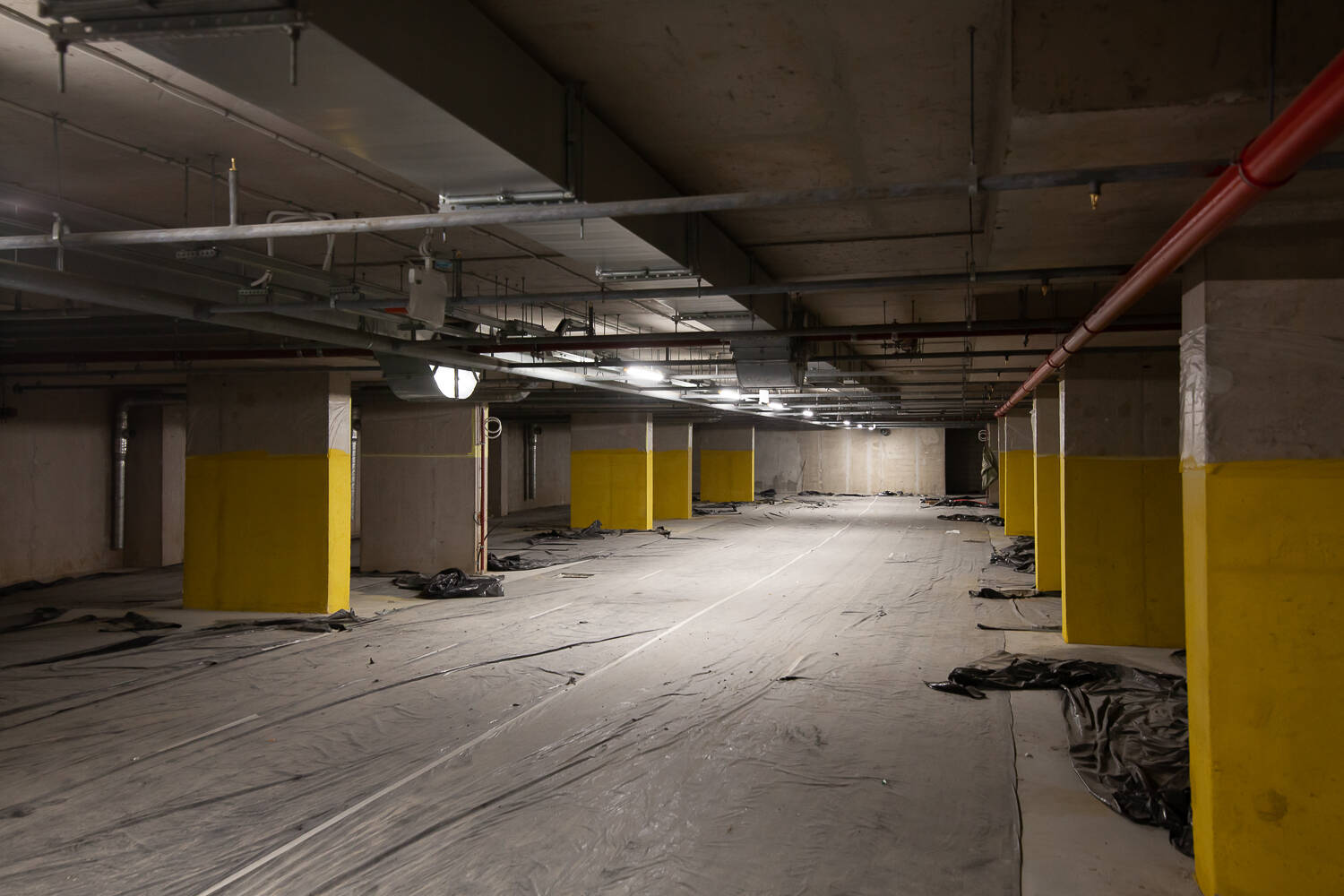 ZOOM на Неве фото 6