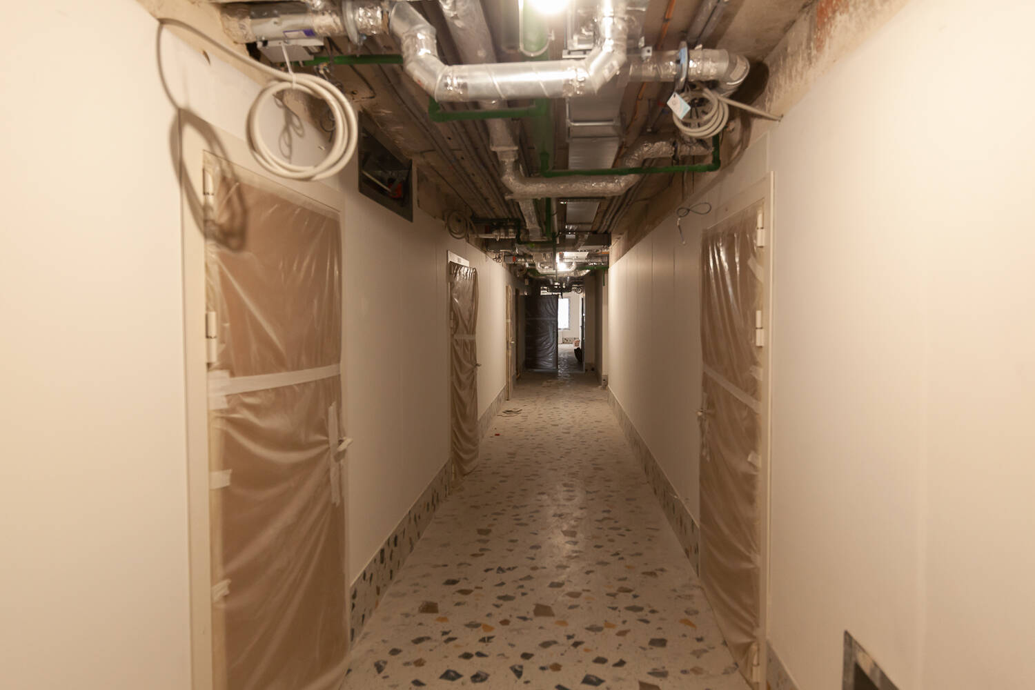 ZOOM Черная речка фото 3